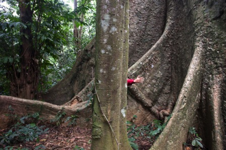 Cuc Phuong National Park